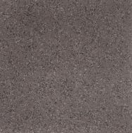 PRDE RB60DG RM PARADE 60x60