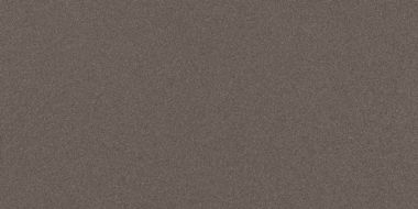 PRTU 12DG RM PARADE 60x120