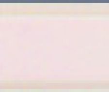 PRWAM50 Preciouswall Agata Ang. Matita 2x2