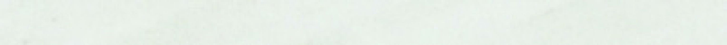 PRWC10 Preciouswall Statuario Coprifilo 1.5x25