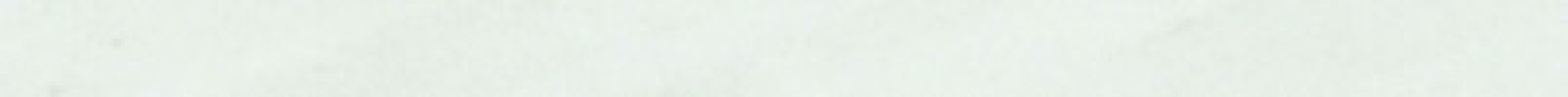 PRWC10 Preciouswall Statuario Coprifilo 1.5x25