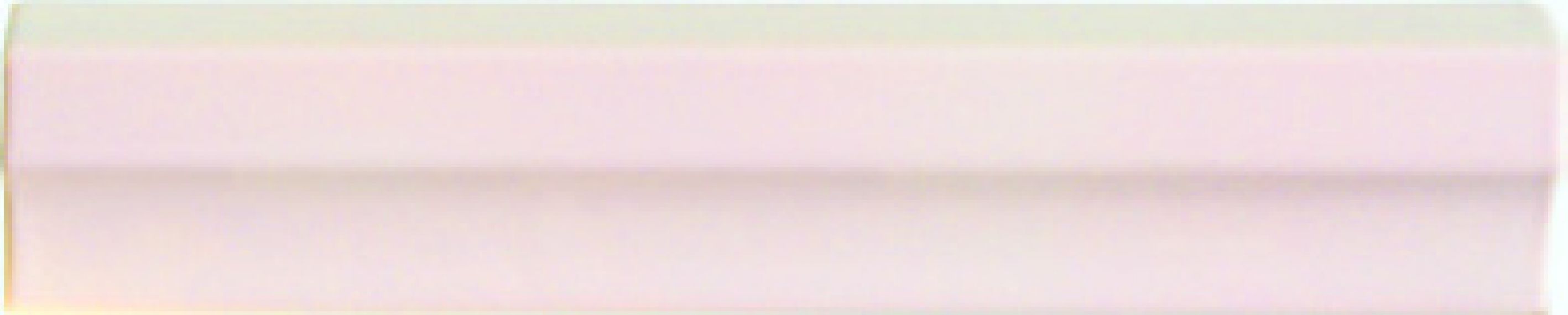 PRWT50 Preciouswall Agata Torello 5x25