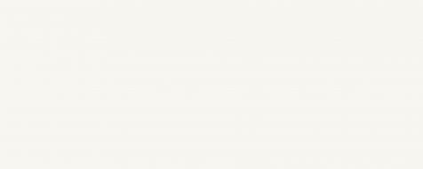 PS-01-162-0298-0748-1-001 Essent white 29,8x74,8