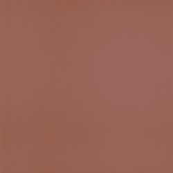 PT01202 VICTORIAN ROJO 20*20