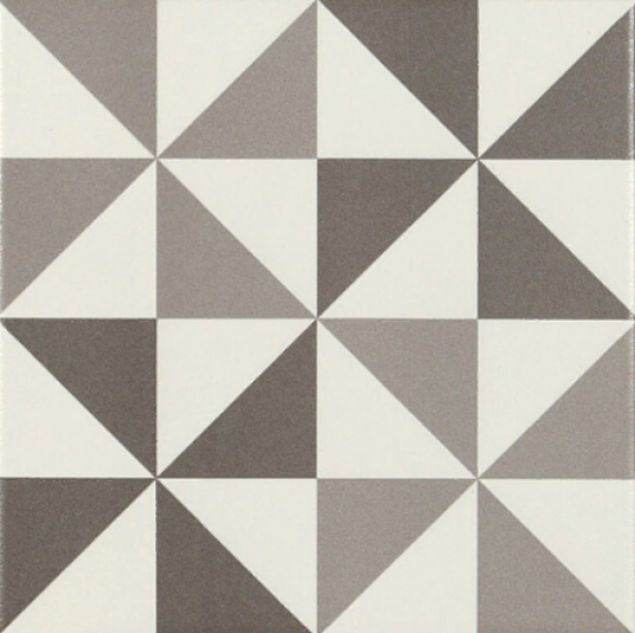 PT02116 ANTIGUA GRIS 004 20x20