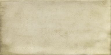 PT02254 Treviso Blanco 10х20