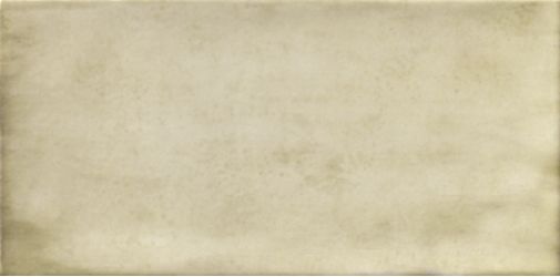 PT02254 Treviso Blanco 10х20