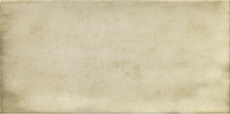 PT02254 Treviso Blanco 10х20