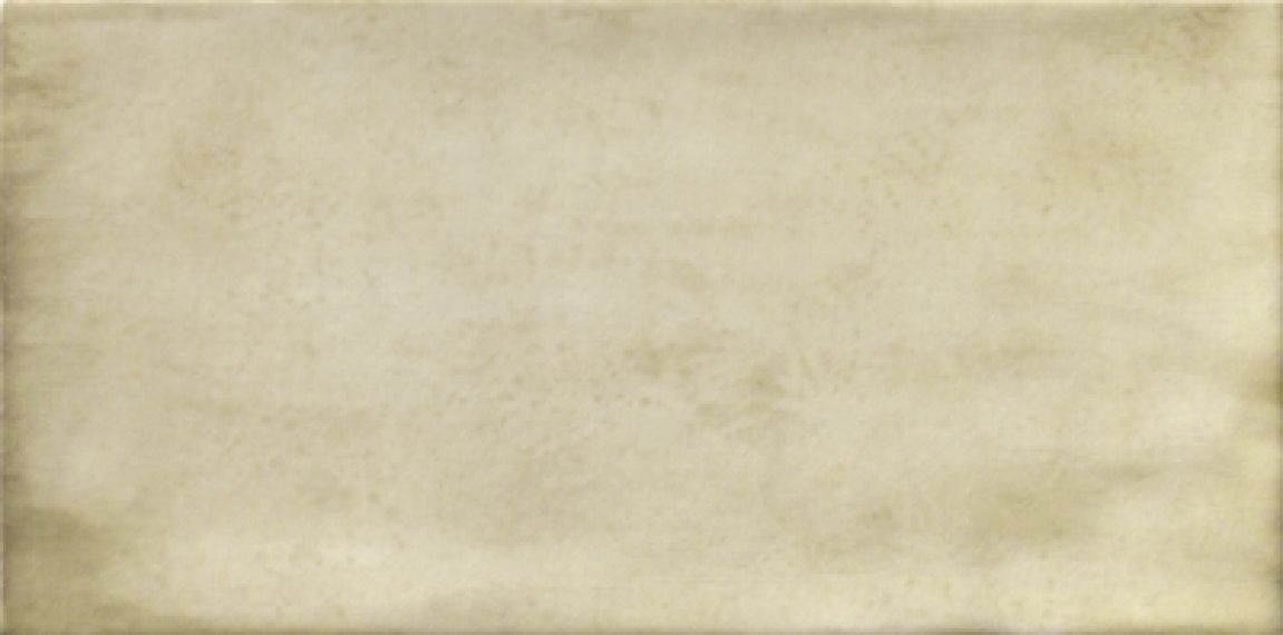 PT02254 Treviso Blanco 10х20