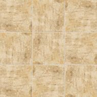 PT02362 Ravena Crema 20x20