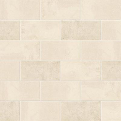 PT02376 Ravena Natural 10x20