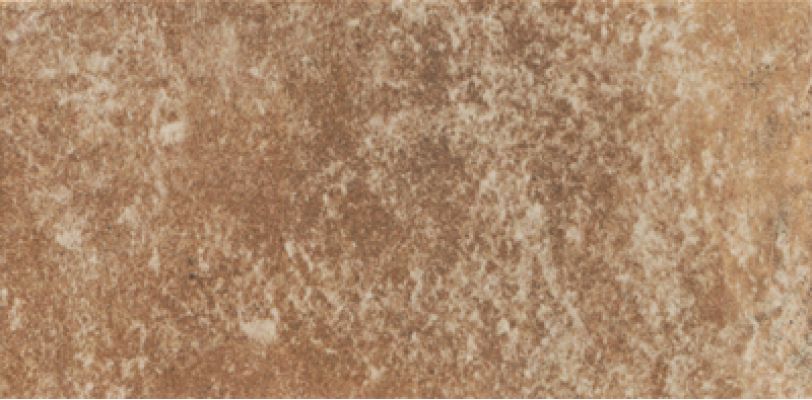 PT02379 Ravena Cotto 10x20