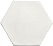 PT03146 Hex White Matt 15x17,3