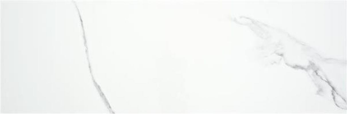 PUNE BLANCO BRILLO 33,3x100
