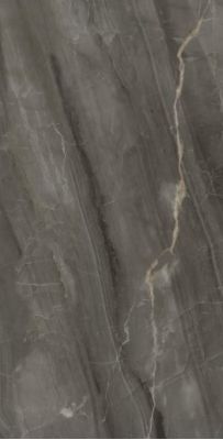 PY126903 Керамогранит Brown Marble Glos 60x120