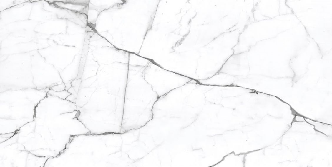 Pallisandro Nero / Паллисандро неро LLR 120x60
