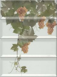 Panno Moscatel Blanco 40x30