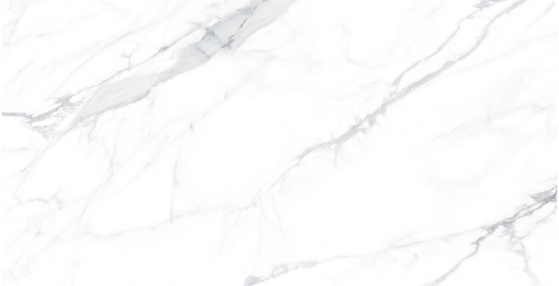 Paola Bianco Polished 60x120