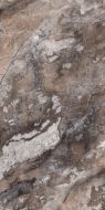 Paradise Quarry Brown Polished Rec. 60x120