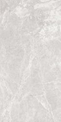 Paradise Silver Glossy 600x1200