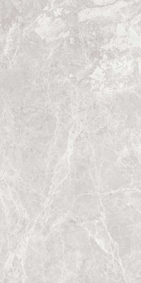 Paradise Silver Glossy 600x1200