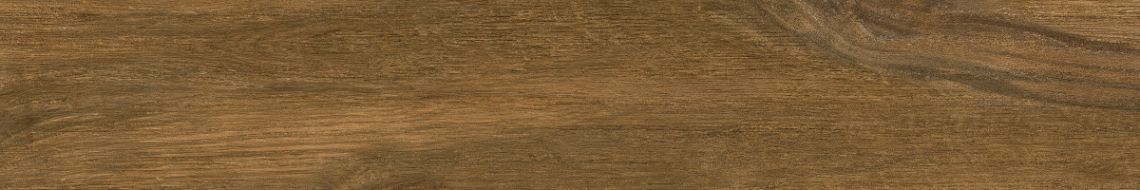 Paramo-R Marron 19.2x119.3