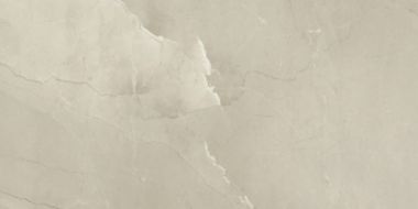 Passion Lux Champagne 60*120
