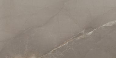 Passion Lux Taupe 60*120