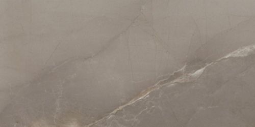 Passion Lux Taupe 60*120