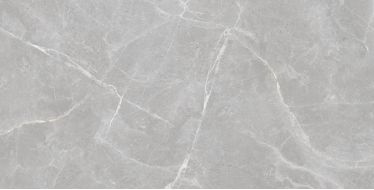 Patricia Grey Matt 60x120