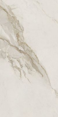 Pav. CALACATTA GOLD NAT 60*120