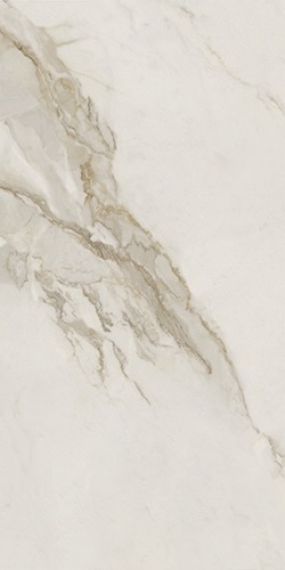 Pav. CALACATTA GOLD NAT 60*120