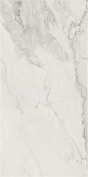 Pav. CALACATTA SILVER LUX 60*120