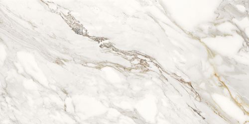 Pav. Macchia Vecchia Nat Gold 60*120