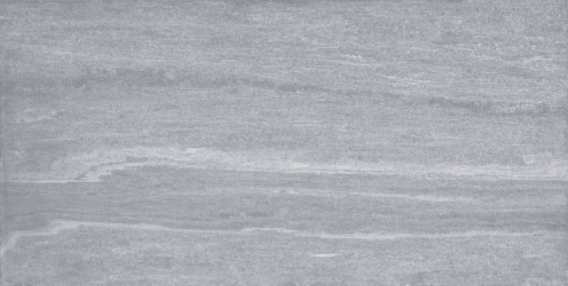 Pav. North Grey RC 60x120