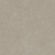 Pav. Rex taupe rc 60x60
