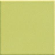 Pav. Verde 450 20x20