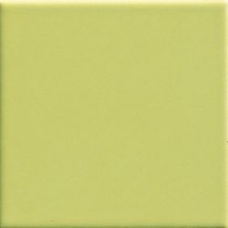 Pav. Verde 450 20x20