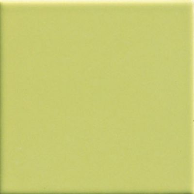 Pav. Verde 450 20x20