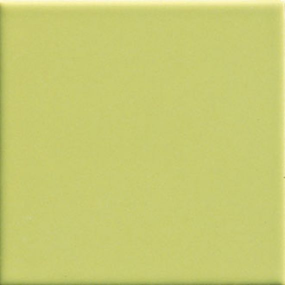 Pav. Verde 450 20x20