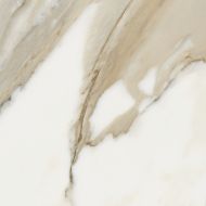 Pav Calacatta 60x60