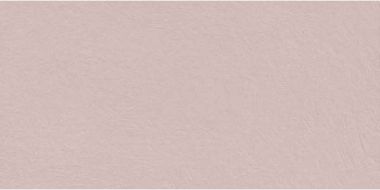 Perfect Nude Ret 60x120
