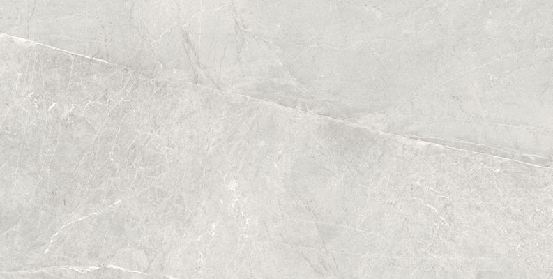 Persa Gris 60x120