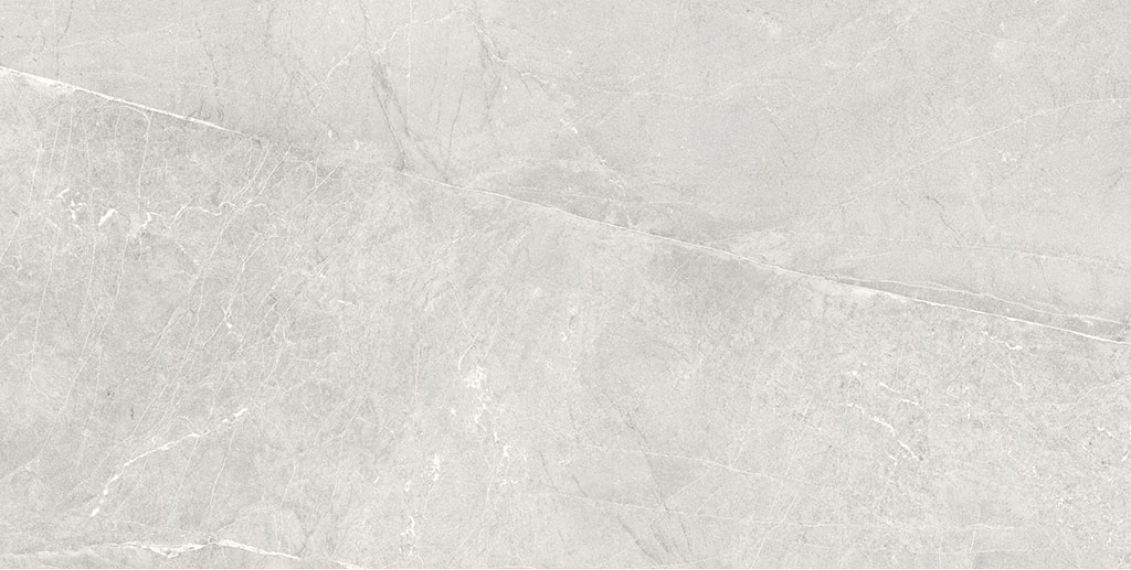 Persa Gris 60x120