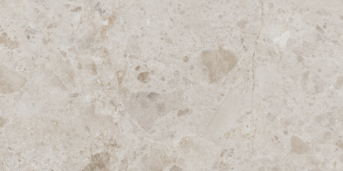 Petra Taupe Matt Rect 60x120