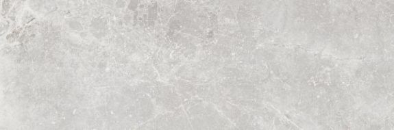 Pietra Antica Cenere 33.3x100