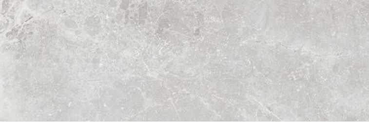 Pietra Antica Cenere 33.3x100