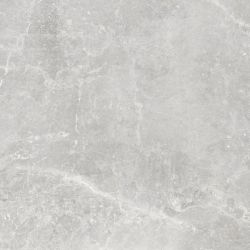 Pietra Antica Cenere 80x80
