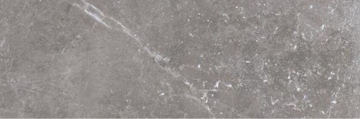 Pietra Antica Grigio 33.3x100