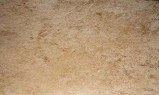 Pietra di Lecce Ambra 30x50
